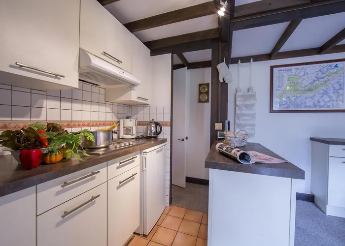 公寓 Grand Roc - Bruyeres 207 - Happy 霞慕尼